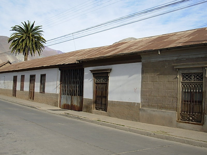 Foto de Vicuña, Chile