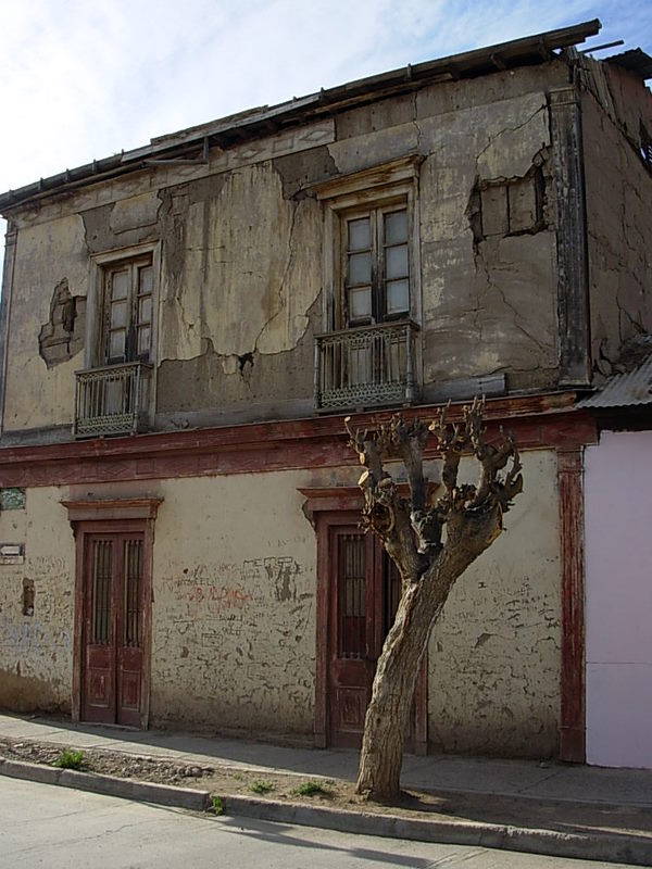 Foto de Vicuña, Chile