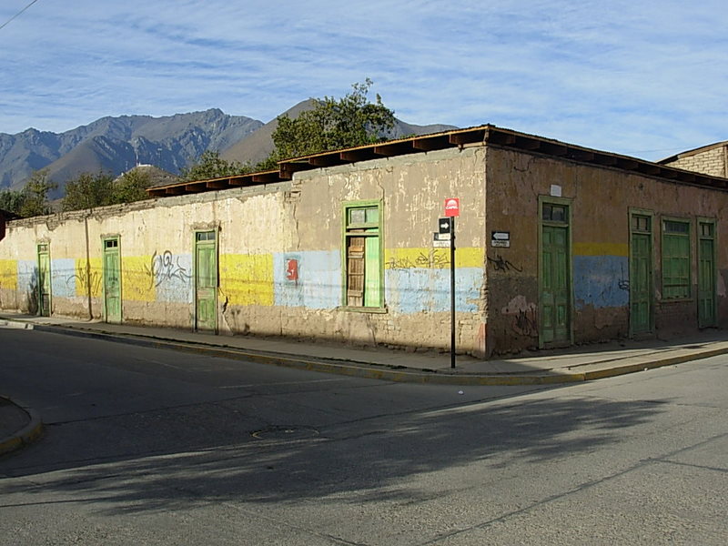 Foto de Vicuña, Chile