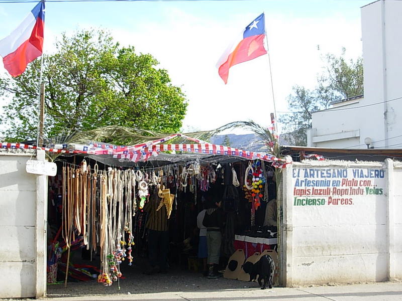 Foto de Vicuña, Chile