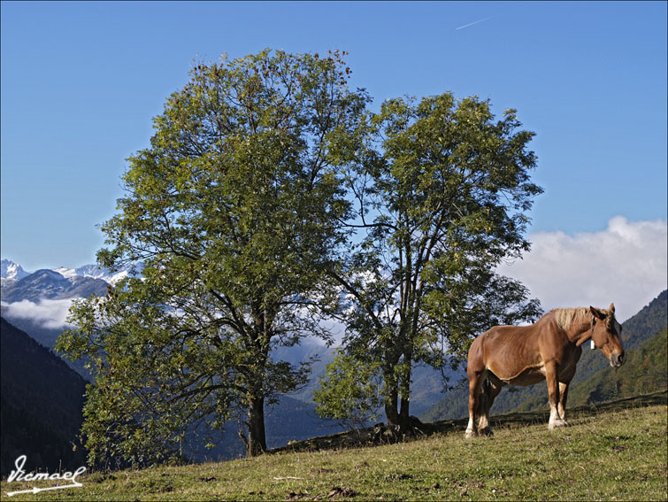 Foto de Arriu de Varrados (Lleida), España