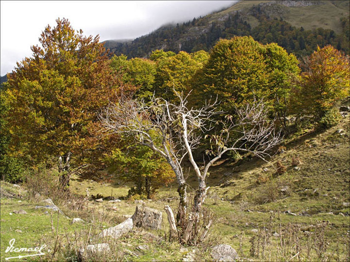 Foto de Es Bòrdes (Lleida), España