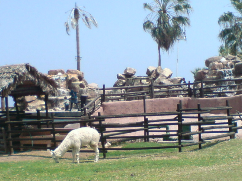 Foto de Iquique, Chile