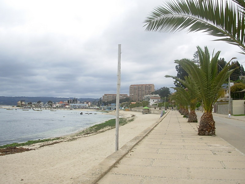 Foto de Algarrobo, Chile