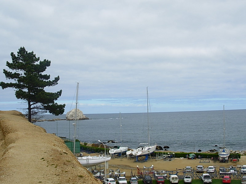 Foto de Algarrobo, Chile