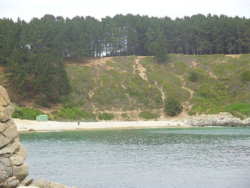 Foto de Algarrobo, Chile