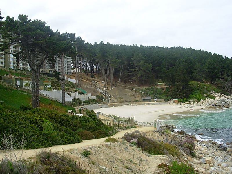 Foto de Algarrobo, Chile