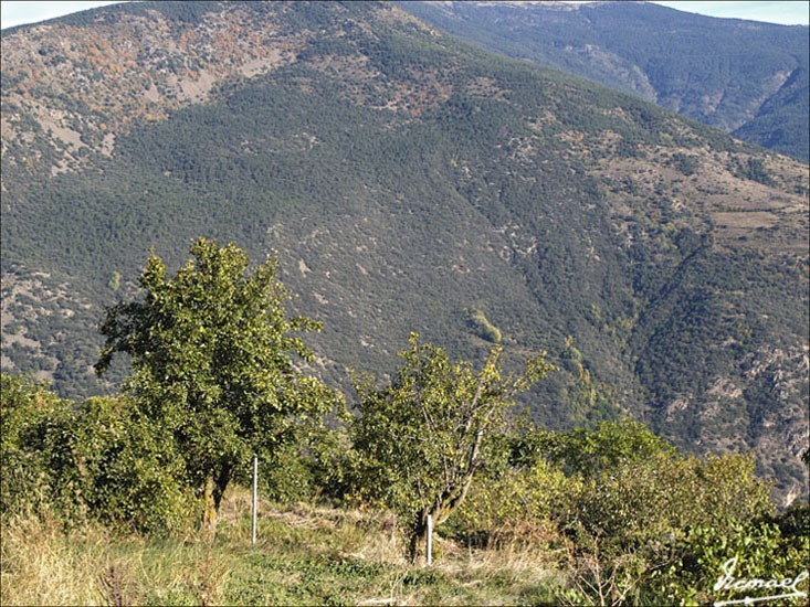 Foto de Olp (Lleida), España