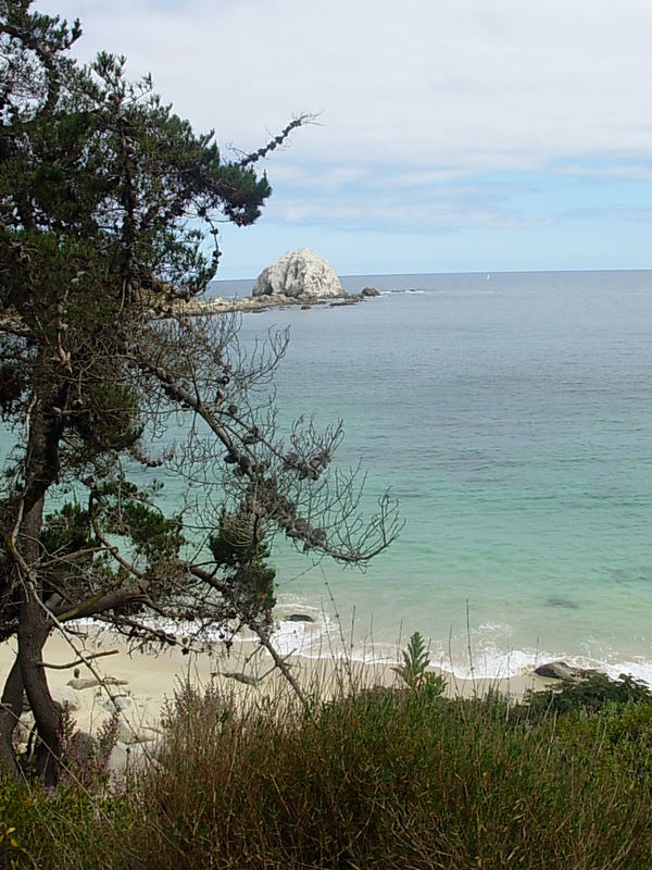 Foto de Algarrobo, Chile