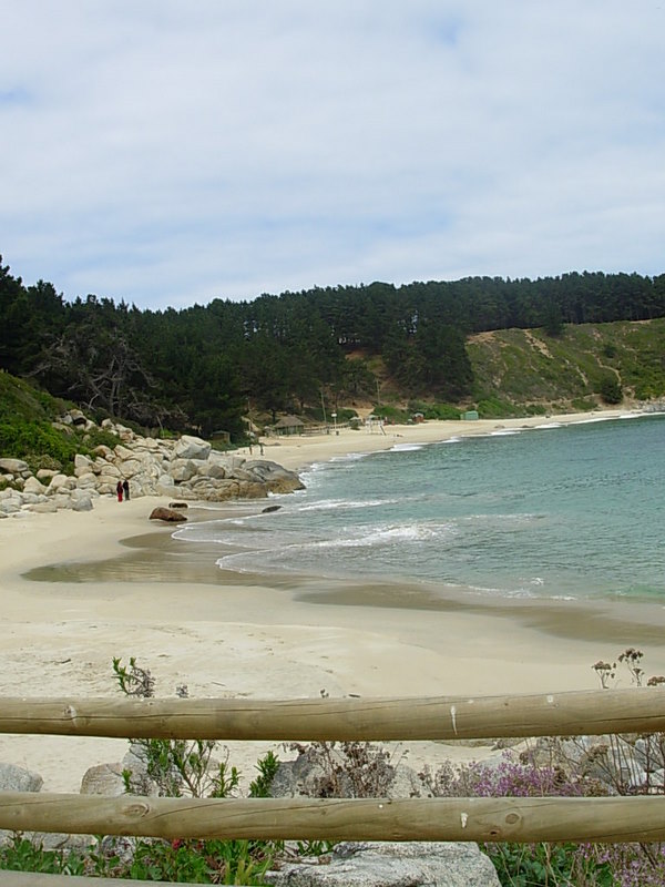 Foto de Algarrobo, Chile