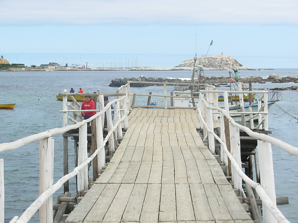 Foto de Algarrobo, Chile