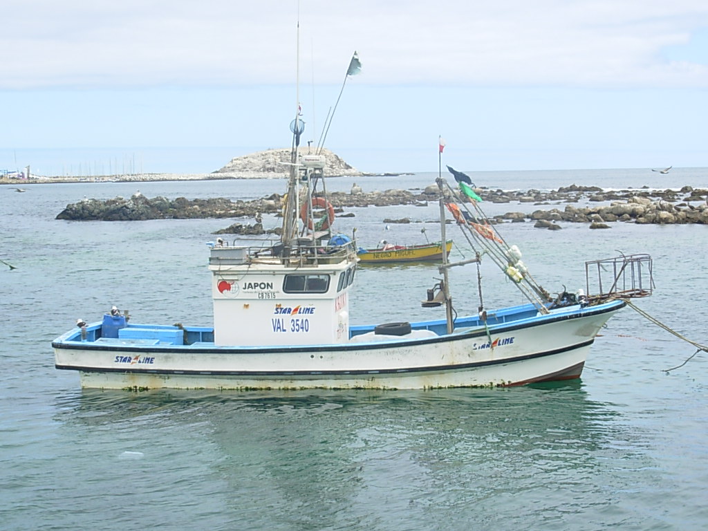 Foto de Algarrobo, Chile