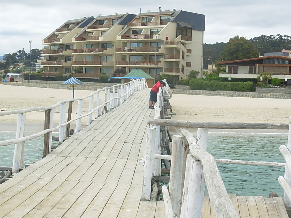 Foto de Algarrobo, Chile