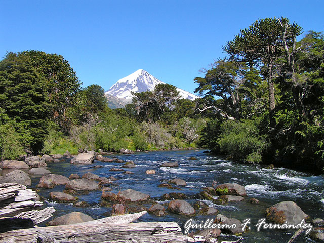 Foto de Neuquén - Patagonia Argentina, Argentina