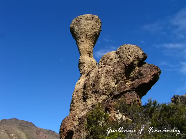 Foto de Neuquén - Patagonia Argentina, Argentina