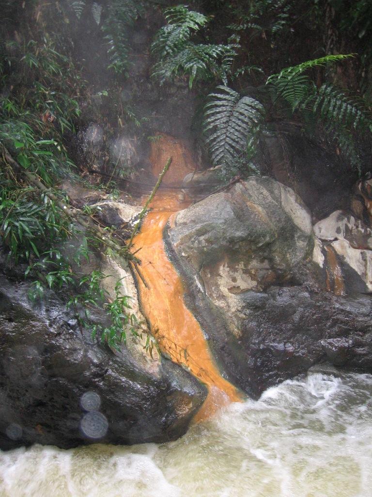 Foto de Santa Rosa de Cabal, Colombia