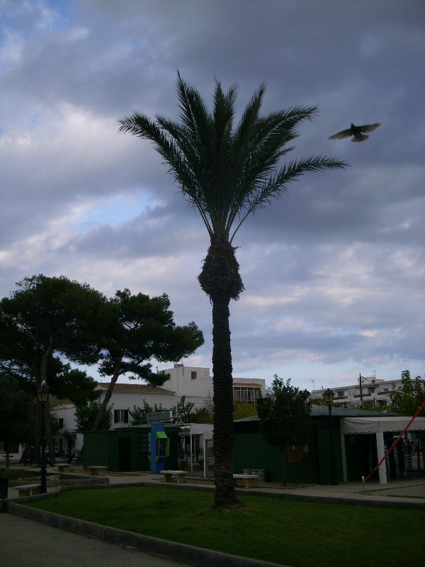 Foto de Es Castell - Menorca (Illes Balears), España