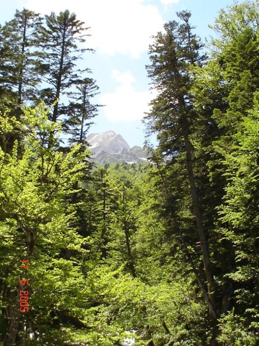 Foto de Pallars Sobira (Lleida), España