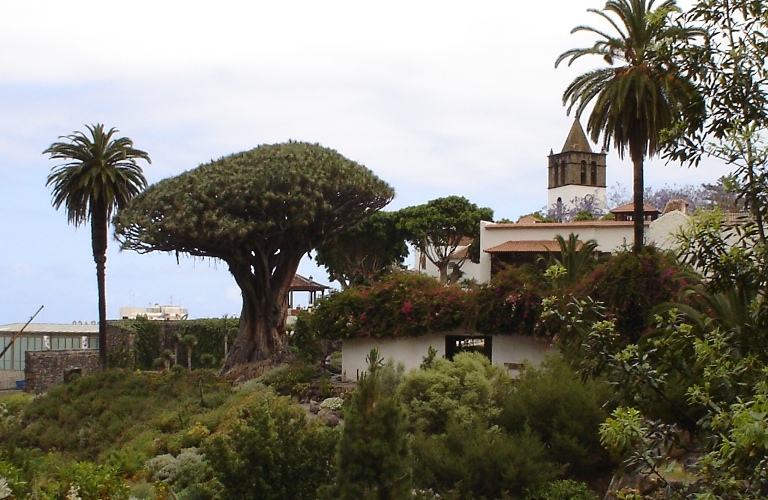 Foto de Tenerife (Santa Cruz de Tenerife), España