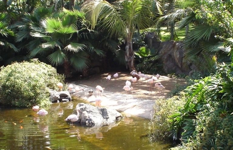 Foto de Tenerife (Santa Cruz de Tenerife), España