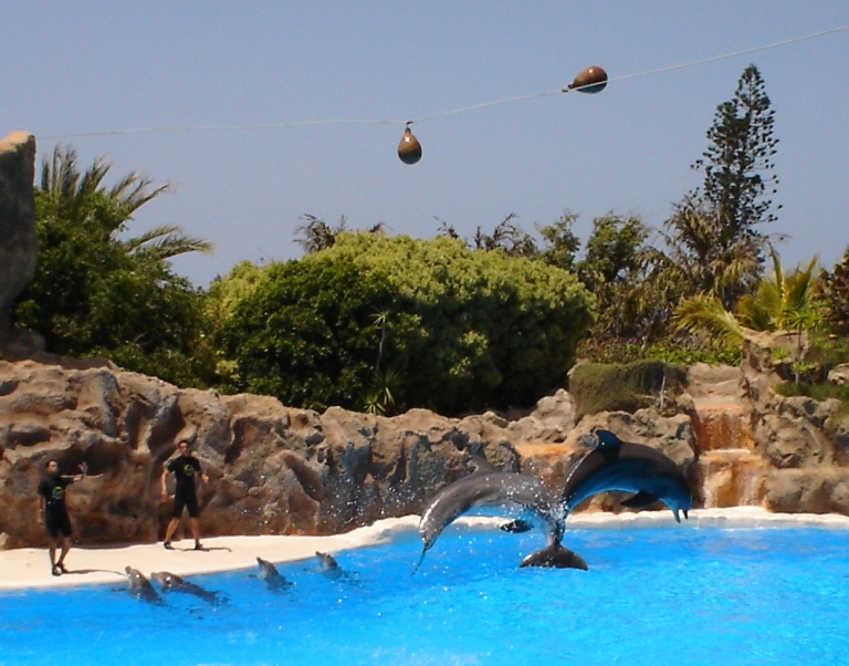 Foto de Tenerife (Santa Cruz de Tenerife), España