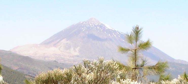 Foto de Tenerife (Santa Cruz de Tenerife), España