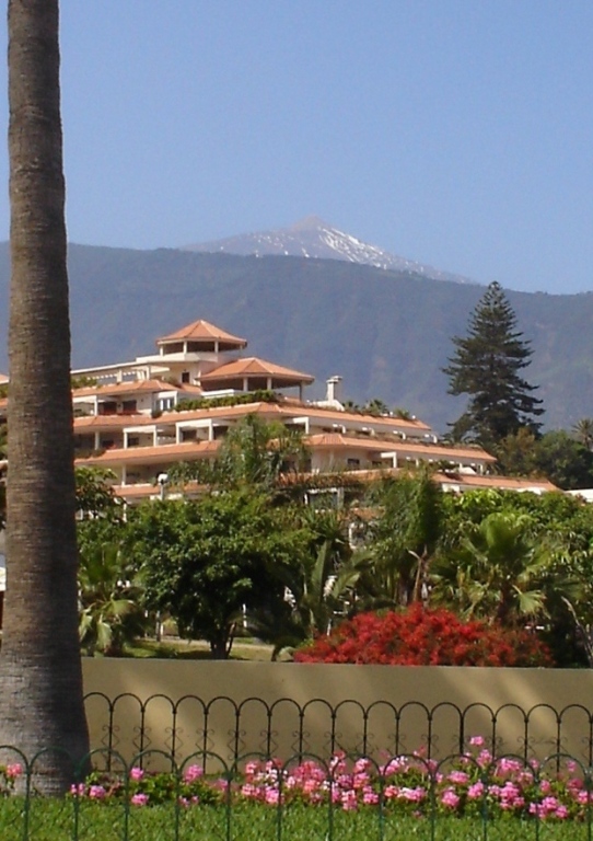 Foto de Tenerife (Santa Cruz de Tenerife), España