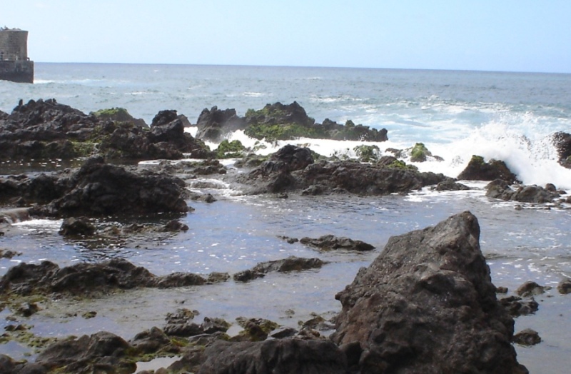 Foto de Tenerife (Santa Cruz de Tenerife), España