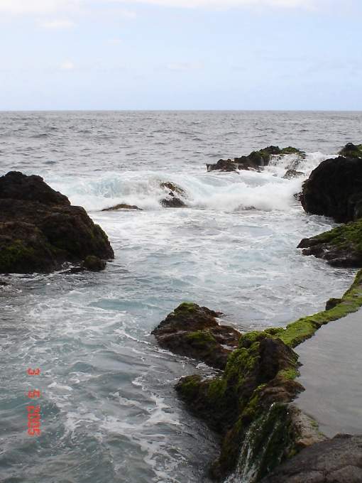 Foto de Tenerife (Santa Cruz de Tenerife), España