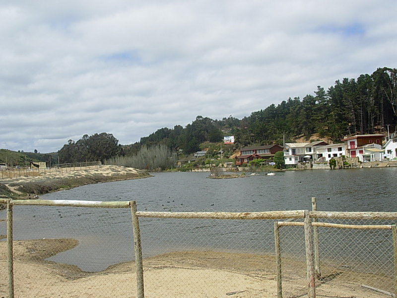 Foto de Algarrobo, Chile