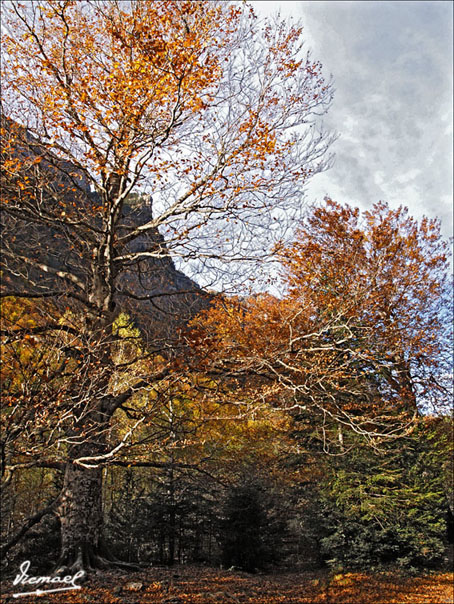 Foto de Torla (Huesca), España