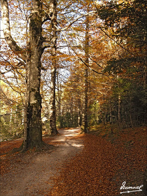 Foto de Torla (Huesca), España