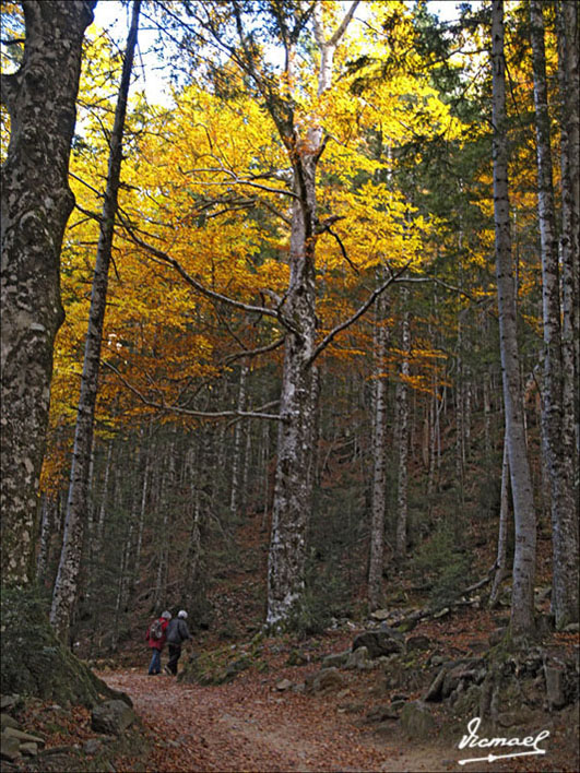 Foto de Torla (Huesca), España