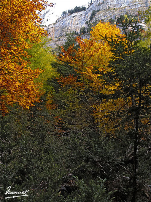 Foto de Torla (Huesca), España