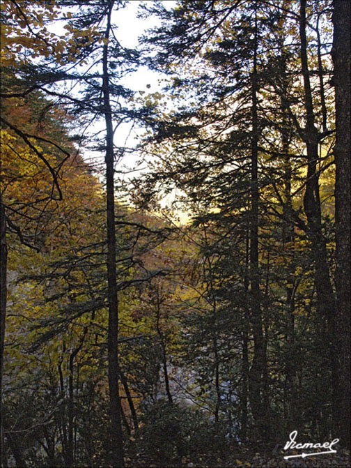 Foto de Torla (Huesca), España