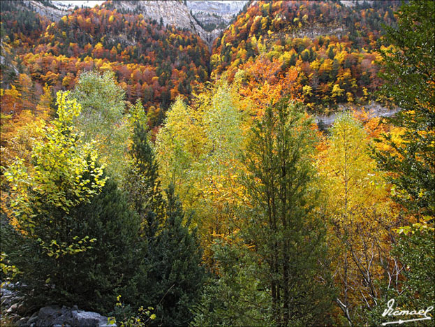 Foto de Torla (Huesca), España