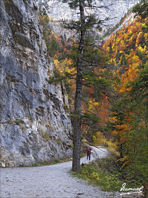 Foto de Torla (Huesca), España