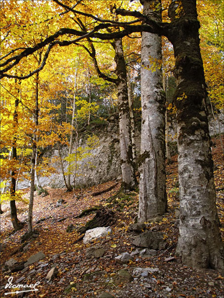 Foto de Torla (Huesca), España