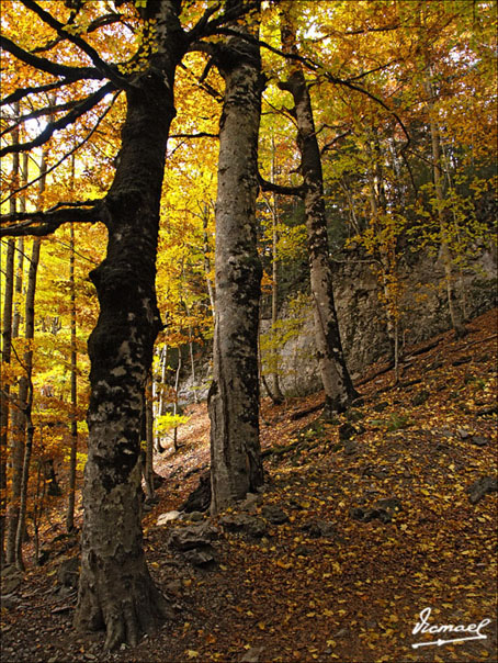 Foto de Torla (Huesca), España