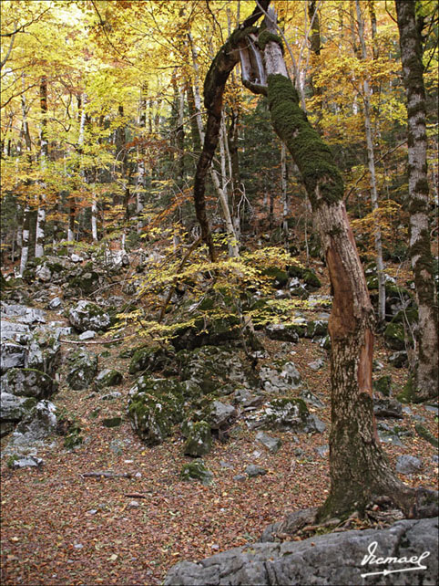 Foto de Torla (Huesca), España