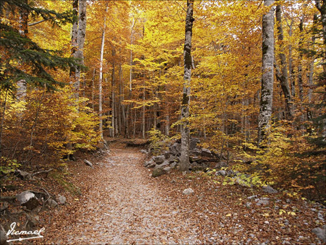 Foto de Torla (Huesca), España