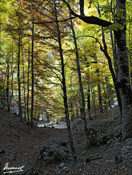 Foto de Torla (Huesca), España