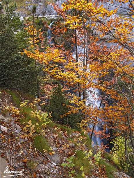 Foto de Torla (Huesca), España