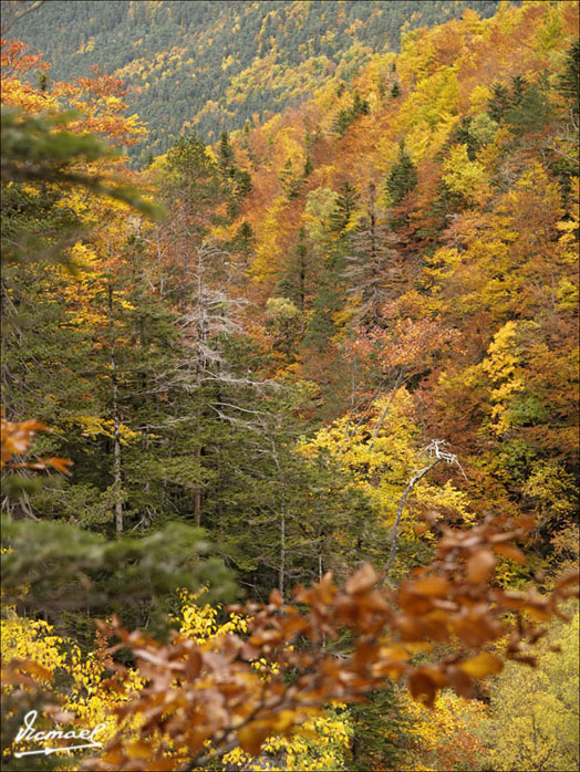 Foto de Torla (Huesca), España