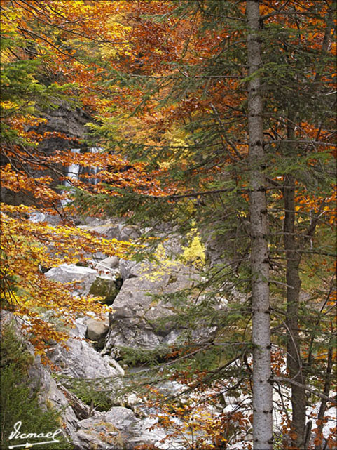 Foto de Torla (Huesca), España