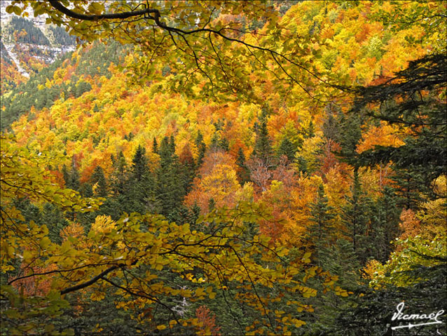 Foto de Torla (Huesca), España