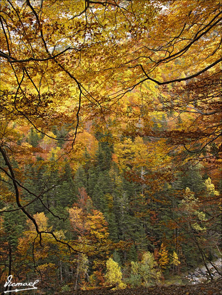 Foto de Torla (Huesca), España