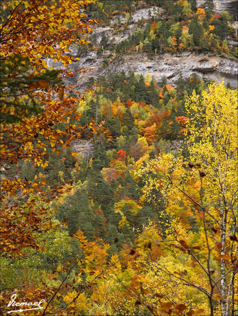 Foto de Torla (Huesca), España