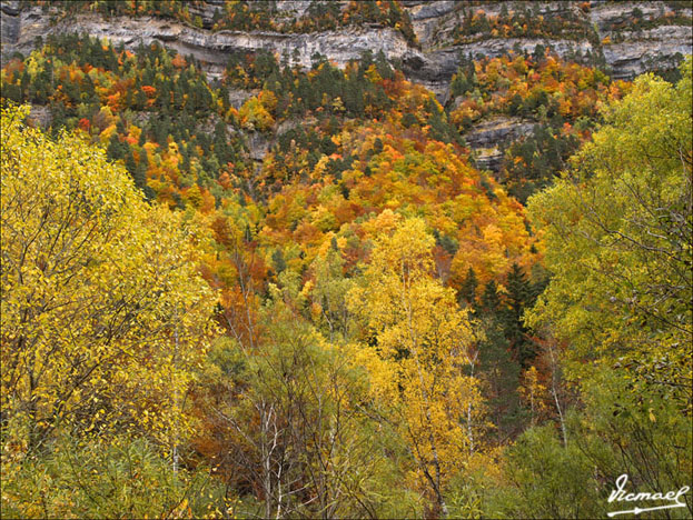 Foto de Torla (Huesca), España