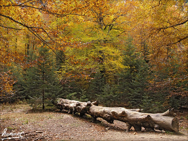 Foto de Torla (Huesca), España